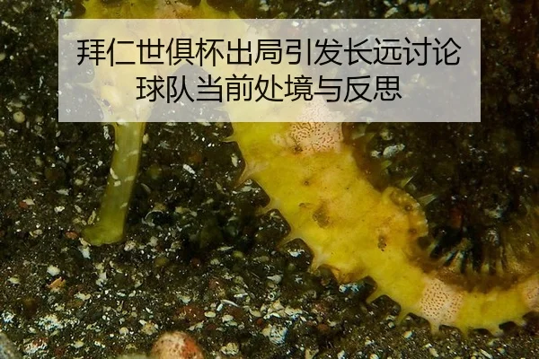拜仁世俱杯出局引发长远讨论 球队当前处境与反思